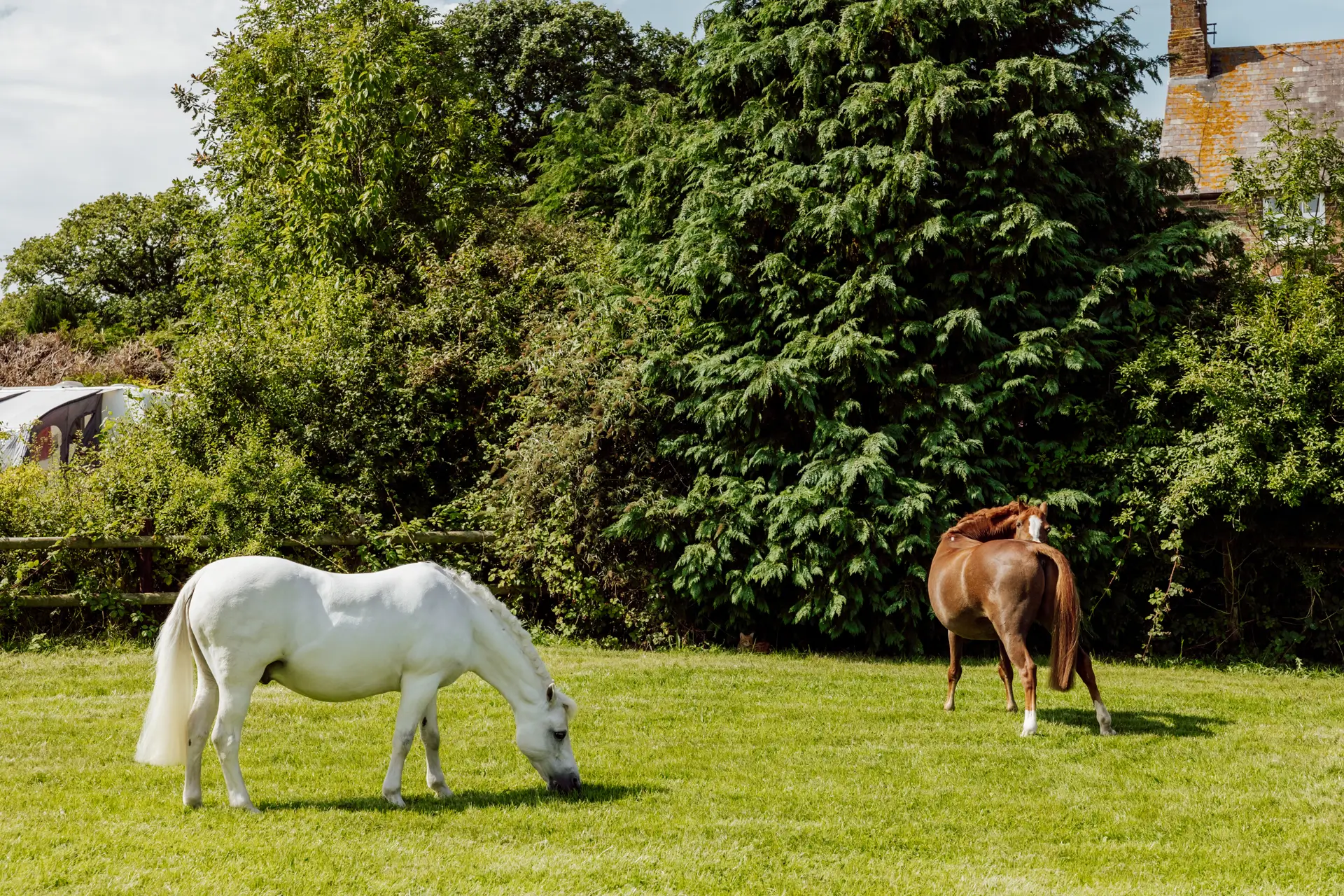 Hunters Hamlet peaceful setting