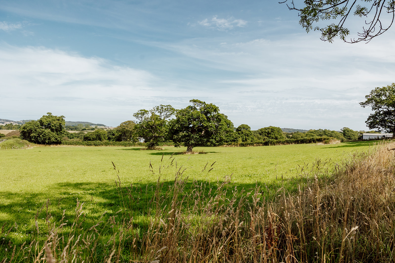 Hunters Hamlet - Photo 9